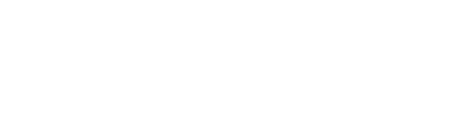 Steel Solution
